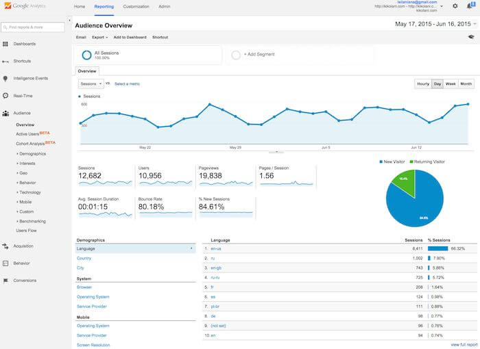 a print screen of google analytics page