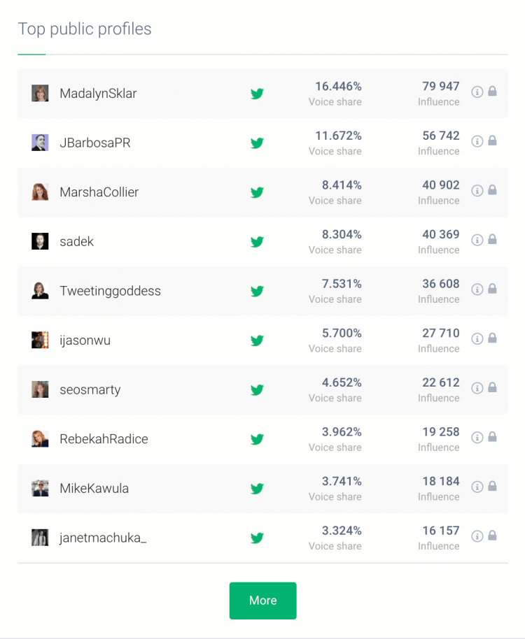 print screen showing top public profiles, influencers you can cooperate with to build social media engagement