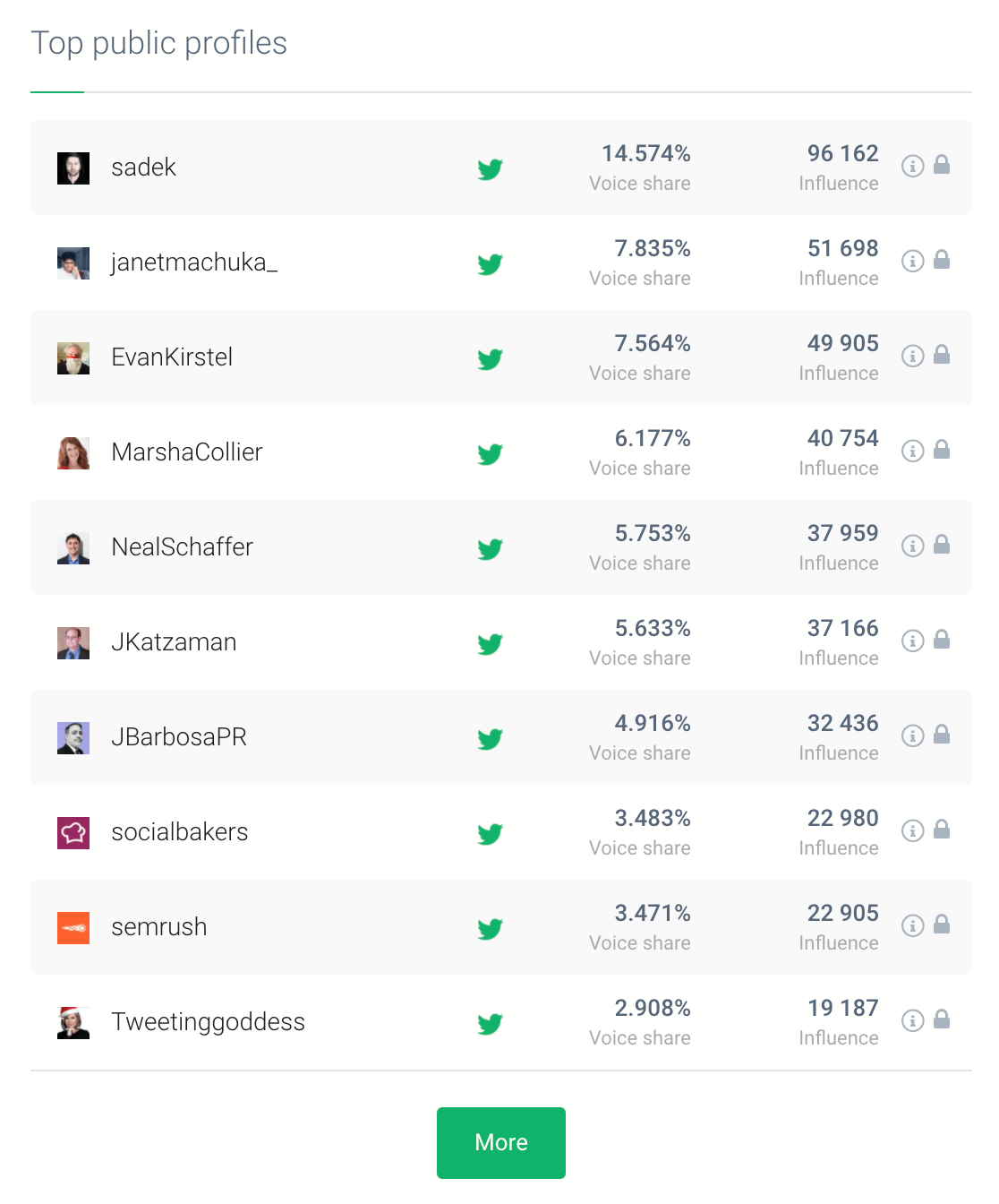 print screen showing the best influencers for your brand based on the brand monitoring project